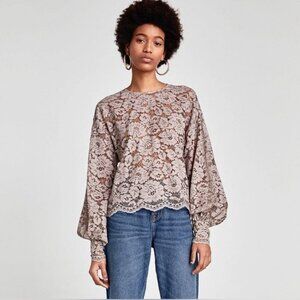 Zara Dusty Pink Rose Floral Lace Top